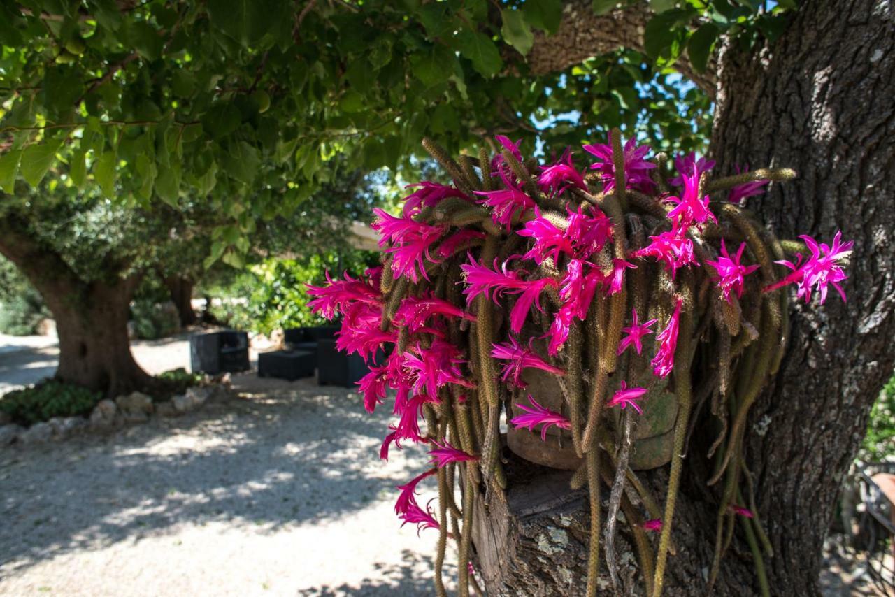 Agriturismo Grotta Di Figazzano Cisternino Eksteriør bilde