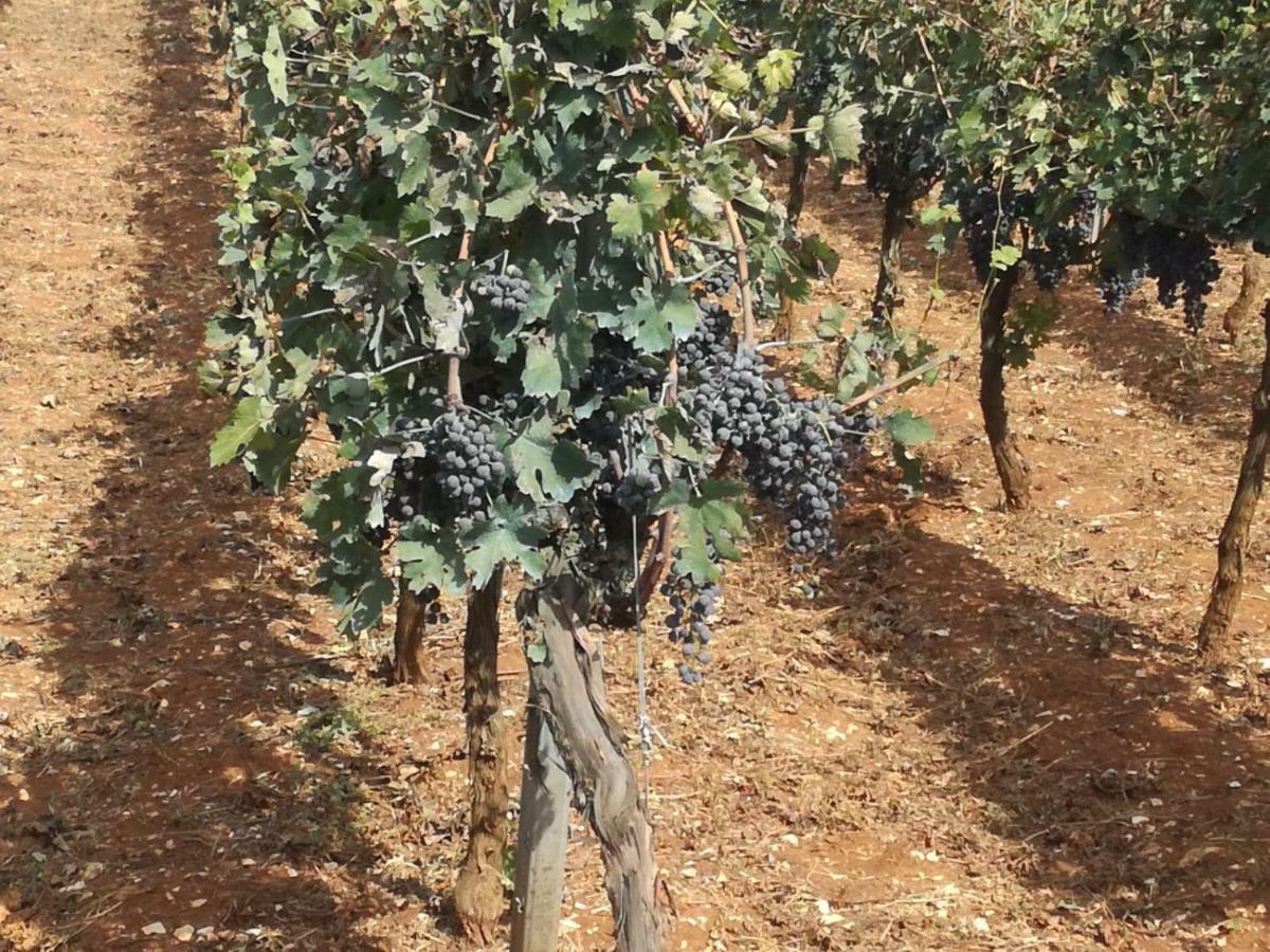 Agriturismo Grotta Di Figazzano Cisternino Eksteriør bilde