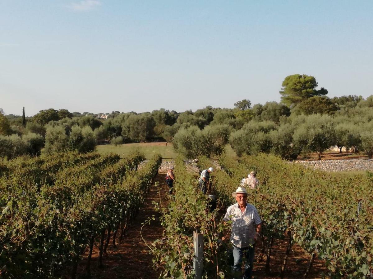 Agriturismo Grotta Di Figazzano Cisternino Eksteriør bilde