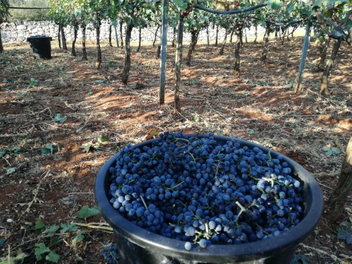 Agriturismo Grotta Di Figazzano Cisternino Eksteriør bilde